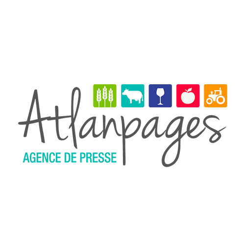Logo entreprise Atlanpages dessine par Elographic